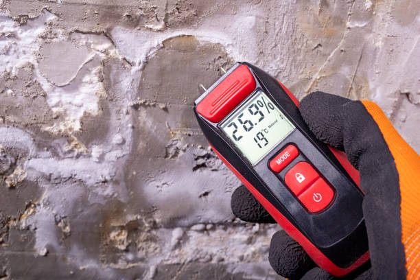 Best Local Mold Removal Service  in Thompson, ND