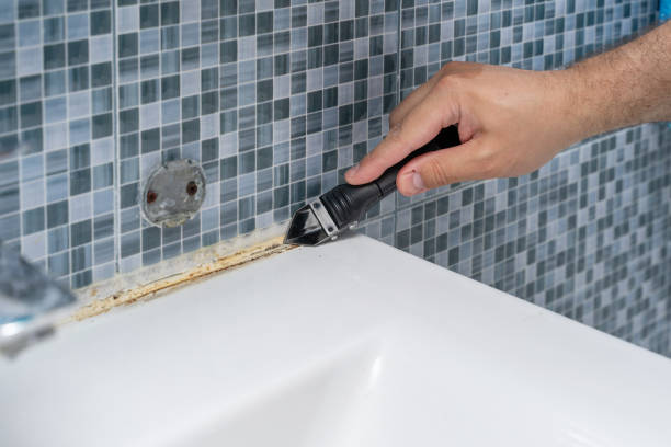 Mold Removal and Inspection in Thompson, ND